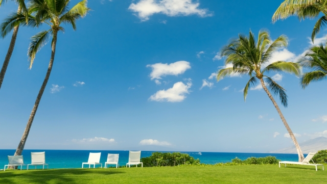 优发：园林绿化用药杀菌的有几种