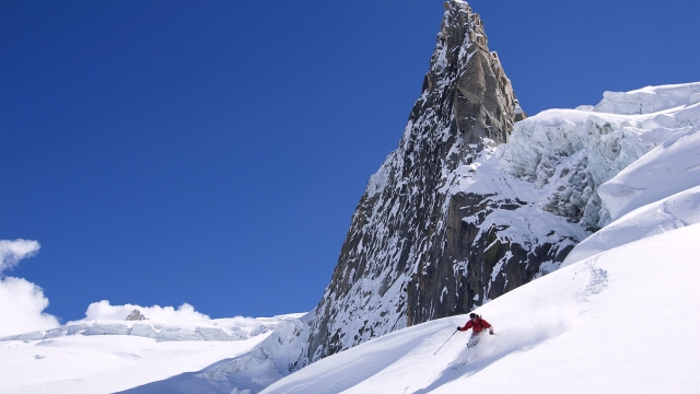 优发：园林绿化桂花矮树苗