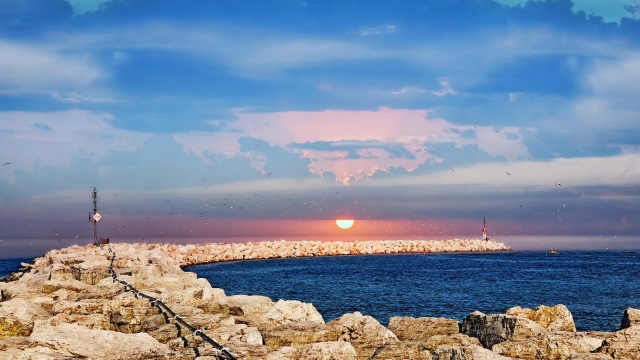 优发集团：园林绿化灌水防寒