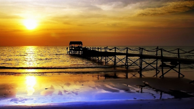 优发国际：园林绿化怎样