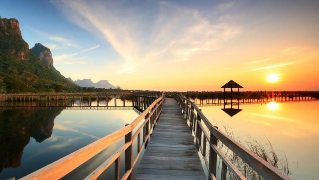 园林绿化用什么竹