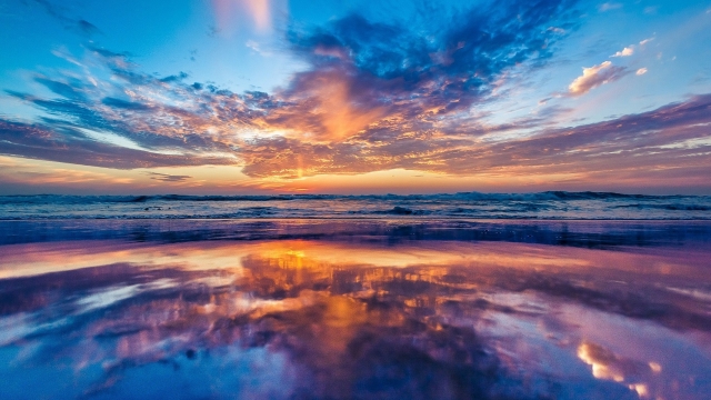 优发国际：园林绿化方针