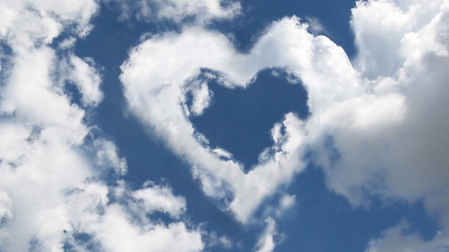 优发国际：园林绿化景观护栏