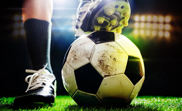 优发集团：园林绿化娇娇